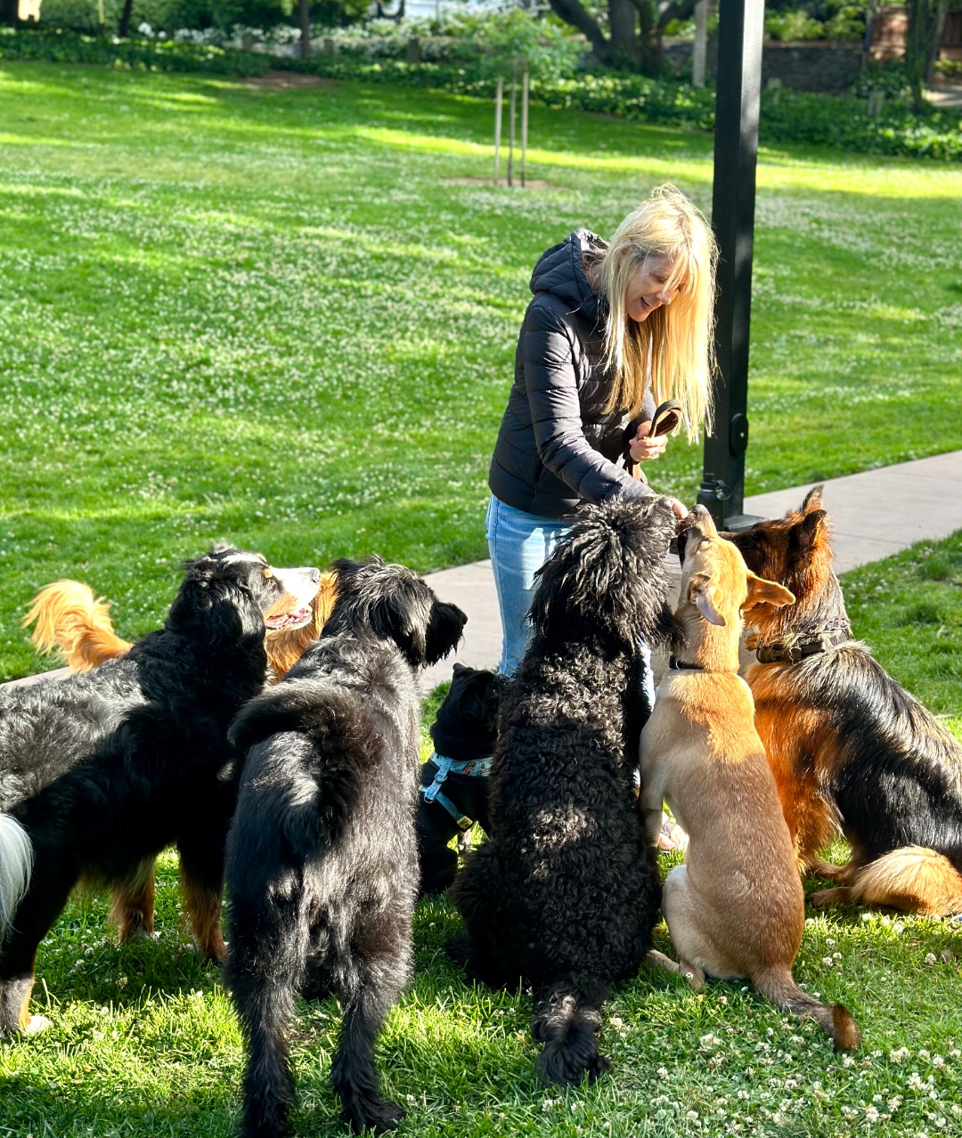 Annette Seaborn at the park surrounded by dogs