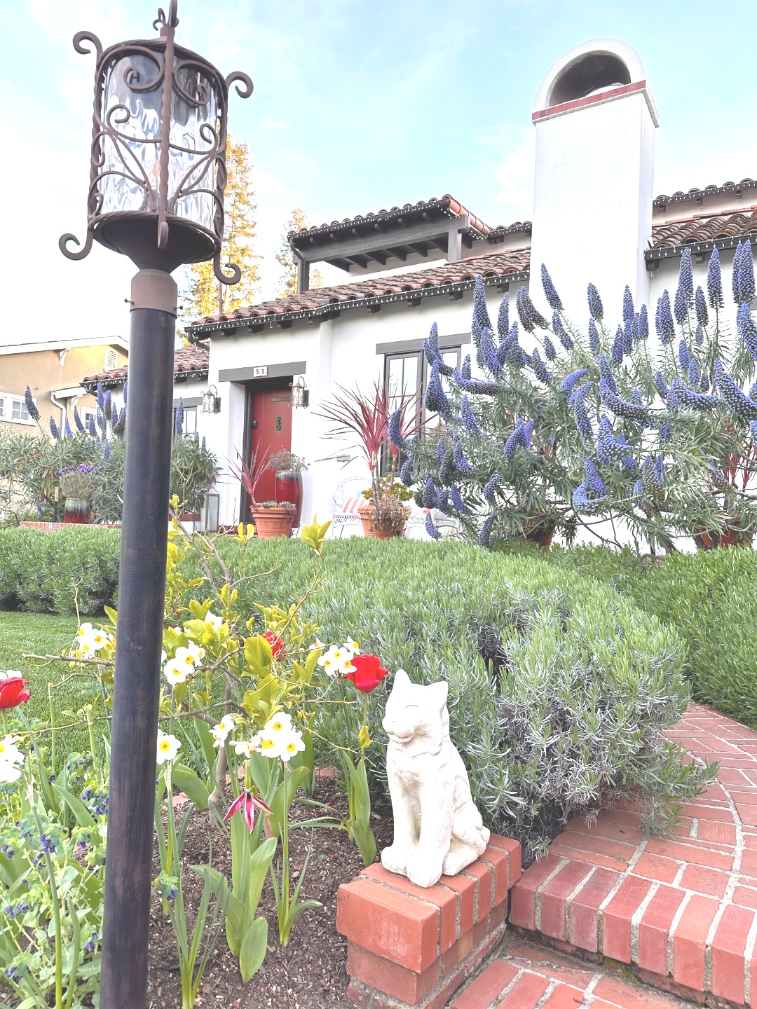 Los Gatos home garden detail