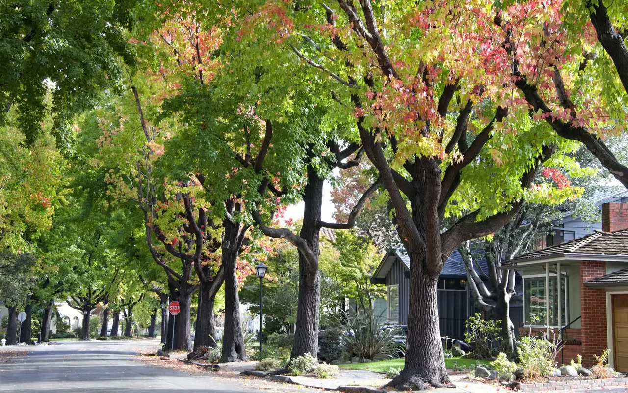 Monte Sereno, California